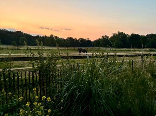 Foto - Großzügiges Einfamilienhaus zu vermieten
