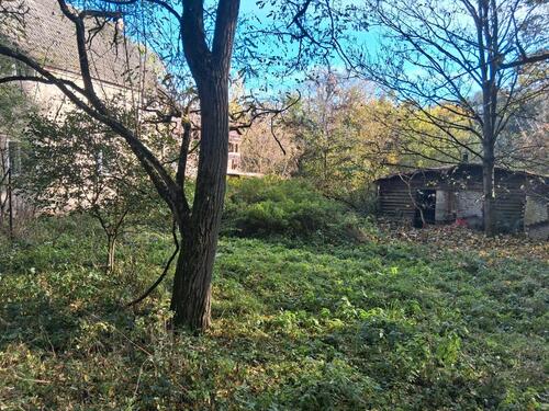Foto - Einfamilienhaus in Chorin zum Kaufen