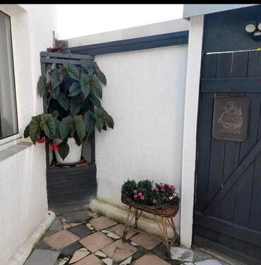 Foto - 7 Zimmer Etagenwohnung zur Miete in Magdeburg