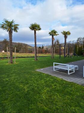 Foto - 5 Zimmer Einfamilienhaus zum Kaufen in Gaildorf