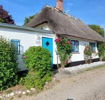 Ferienhaus dänische Ostsee - 550,00&nbsp;EUR Kaltmiete, in Büchen (PLZ: 21514)