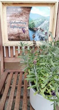 Foto - Neue Ferienwohnung im Nationalpark Eifel für 2-3 Person