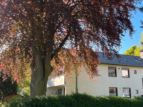 Foto - 4 Zimmer Etagenwohnung in Paderborn