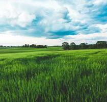 Ackerland - 2,7 ha - 300.000,00 EUR Kaltmiete, ca.  0,00 m² in Schweitenkirchen (PLZ: 85301)