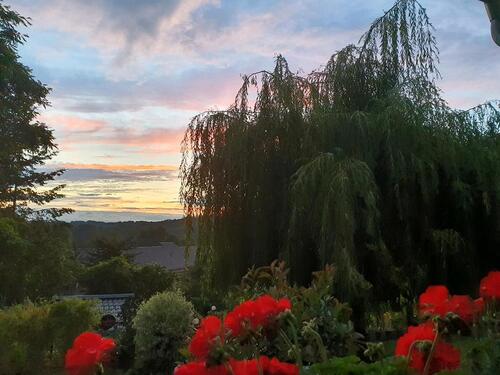 Foto - Mehrfamilienhaus, Wohnhaus in Oberbarnim zum Kaufen
