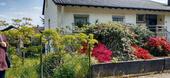 Foto - 2-Familienhaus - 320.000,00&nbsp;EUR Kaufpreis, ca.&nbsp; 250,00&nbsp;m&sup2;