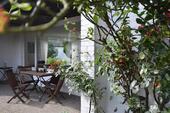 Foto - andere in Soest