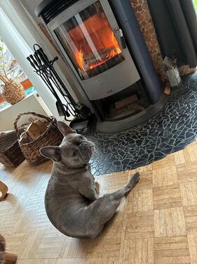 Foto - 6 Zimmer Etagenwohnung in Hofheim am Taunus