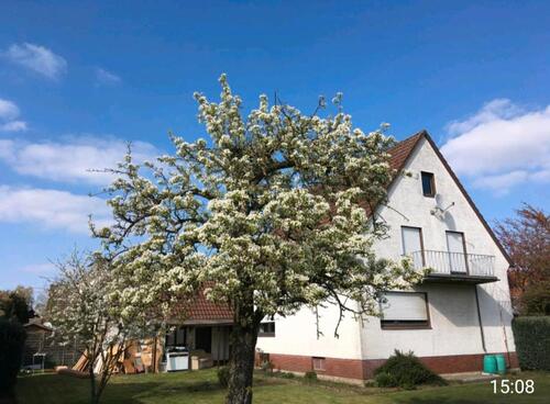 Foto - 3 Zimmer Einfamilienhaus zum Kaufen in Rietberg