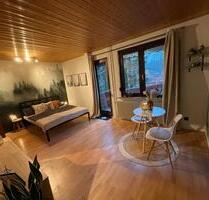 Vollmöblierte Einzimmerwohnung mit Pool zu vermieten - Freudenstadt