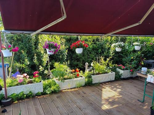 Foto - 2 Zimmer Einfamilienhaus in Oranienburg