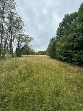 Foto - Garten Acker Wiese Waldgrundstück Freizeit