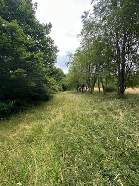 Foto - Grundstück zur Miete in Gaggenau