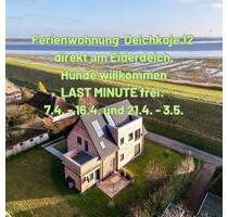 Ferienwohnung direkt am Eiderdeich Nordsee Last Minute mit Hund - Tönning