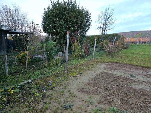 Foto - Gartengrundstück Ehrenstetten - 100,00 EUR Kaltmiete, ca.  0,00 m²