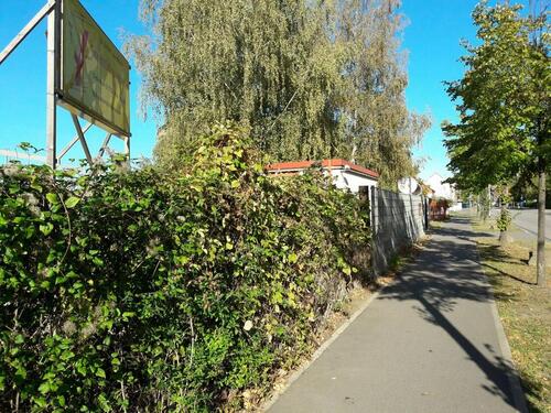 Foto - Grundstück zur Miete in Halle (Saale)