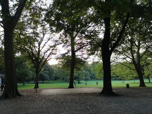 Foto - Etagenwohnung zum Kaufen in Köln