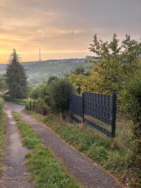 Foto - Garten in Stuttgart- Rohracker Pacht 100€Monat befr. bis 426