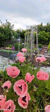 Foto - Kleingarten,Garten - 3.200,00&nbsp;EUR Kaltmiete, ca.&nbsp; 0,00&nbsp;m&sup2;