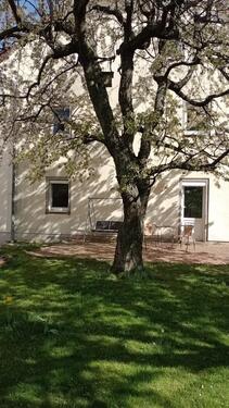 Foto - 2 Zimmerwohnung Erdgeschoss mit Terrasse zum Garten (befristet)