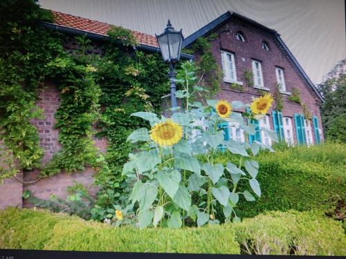 Foto - Ŵachtendonk 4ZKDB - wohnen wo andere Urlaub machen