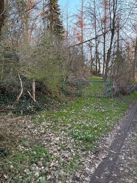 Foto - Gartengrundstück in Bad Sooden-Allendorf (Zinnberg) -1.532 m²
