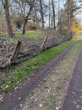 Foto - Grundst&uuml;ck zur Miete in Ringgau