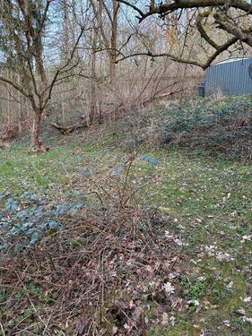 Foto - Grundst&uuml;ck in Ringgau