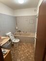Foto - Erdgeschoßwohnung in Heidelberg zur Miete