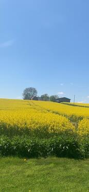 Foto - 2 Zimmer Maisonettenwohnung in Löbnitz