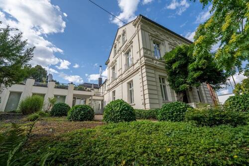 Foto - andere in Linz am Rhein