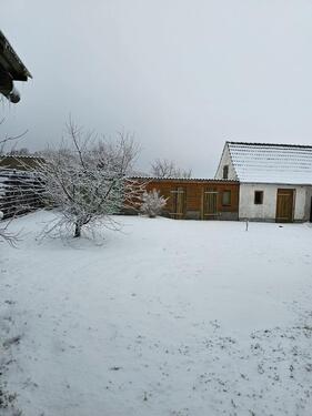 Foto - Einfamilienhaus in Neuruppin zum Kaufen