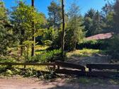 Foto - Schönes Wochenendgrundstück nähe Silbersee Wehdel zu verpachten