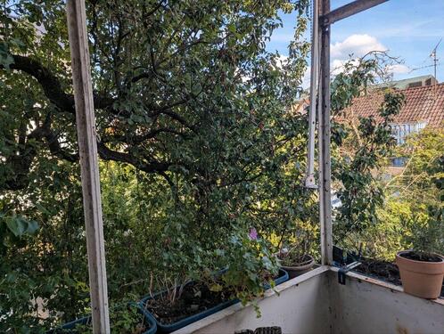 Foto - 4 Zimmer Wohnung mit Balkon Feuerbach