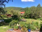 Foto - Einfamilienhaus in Edertal zum Kaufen