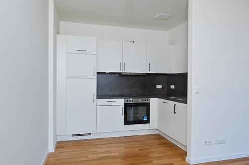 Foto - Etagenwohnung in Dresden zur Miete