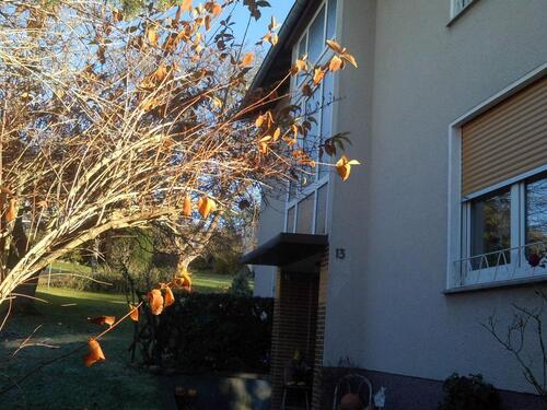 Foto - Einfamilienhaus in Homberg (Efze) zum Kaufen