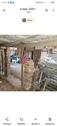 Foto - Einfamilienhaus in Lügde zum Kaufen