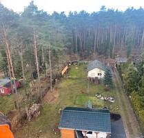 Charmanter Bungalow mit großem Grundstück im Grünen und Ruhigen - Erkner