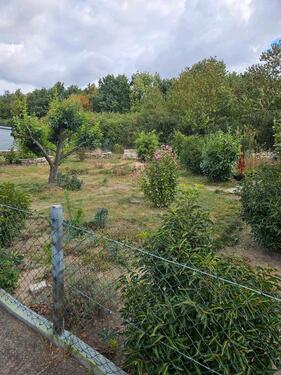 Foto - Grundstück zur Miete in Eilenburg