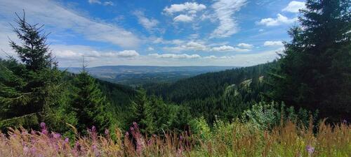 Foto - andere in Braunlage