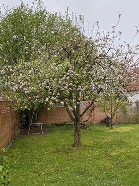 Foto - Einfamilienhaus in Leichlingen (Rheinland) zum Kaufen
