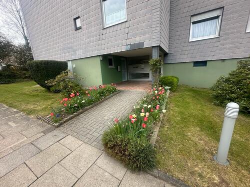 Foto - 2-Zimmer Wohnung frisch renoviert