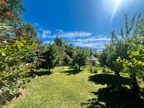 Foto - Garten Pachtgarten in Reusa - 2.000,00 EUR Kaltmiete, ca.  0,00 m²