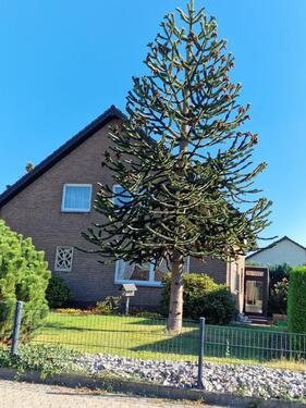 Foto - Einfamilienhaus zum Kaufen in Bad Salzuflen