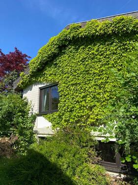 Foto - 6 Zimmer Einfamilienhaus zum Kaufen in Schauenburg