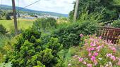 Foto - Einfamilienhaus in Flöha