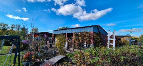 Foto - Garten, Strebergarten, Pachtgarten