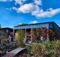 Garten, Strebergarten, Pachtgarten - Dessau-Roßlau