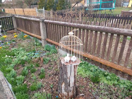 Foto - Grundst&uuml;ck in Gotha zum Kaufen